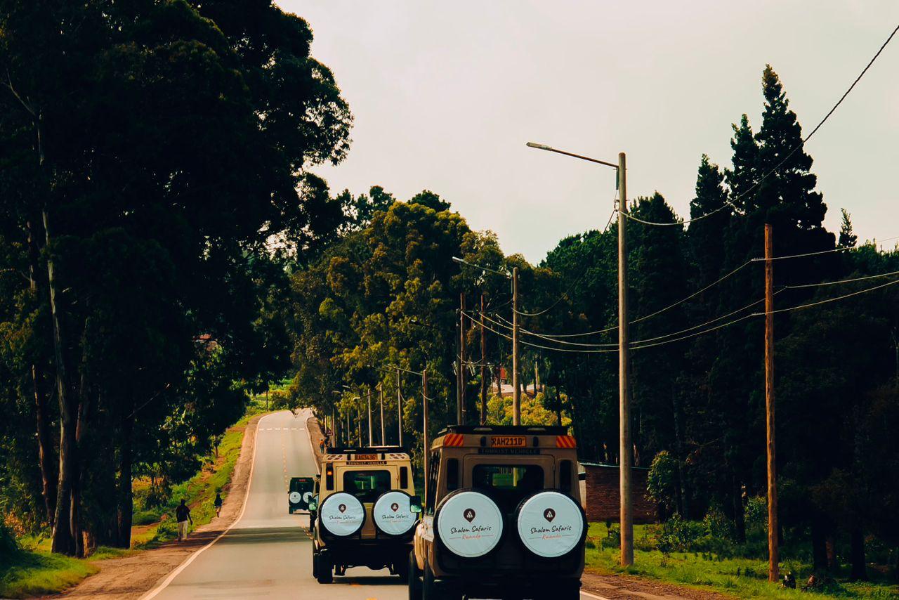 Rwanda Gorilla and Golden Monkey Trekking with City Tour Experience.